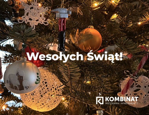 Wesołych Świąt Bożegonarodzenia !